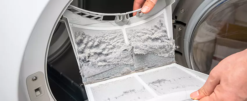Best Dryer Lint Removal Company in South San Jose Hills, California